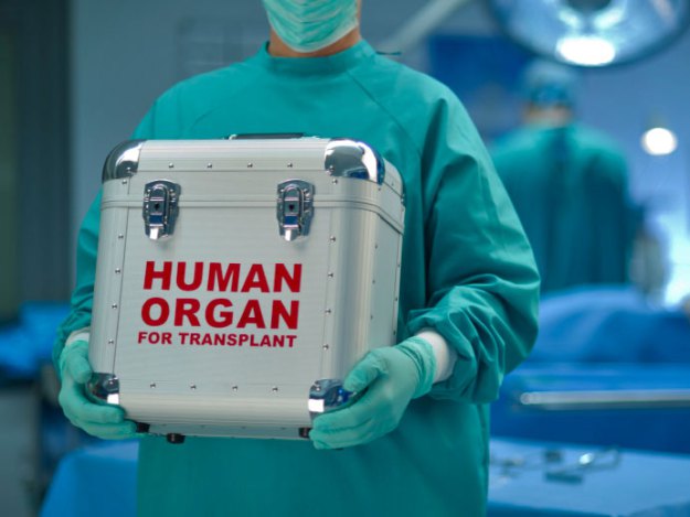 human-organ-for-transplant