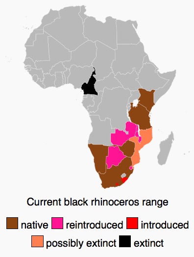 Current black rhinoceros range