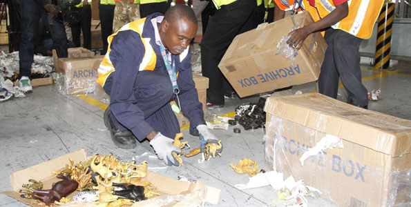 A stockpile of contraband ivory seized at the Nairobi Airport 