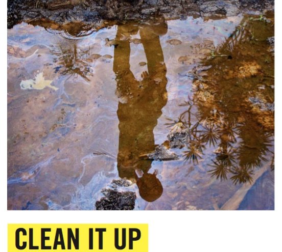 Clean it up (pulisci) Campagna di Amnesty International per invitare la Shell a pulire le aree inquinate del delta del Niger