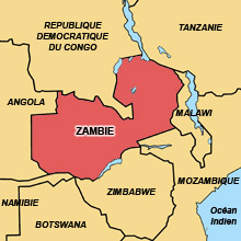 ZAMBIE_220