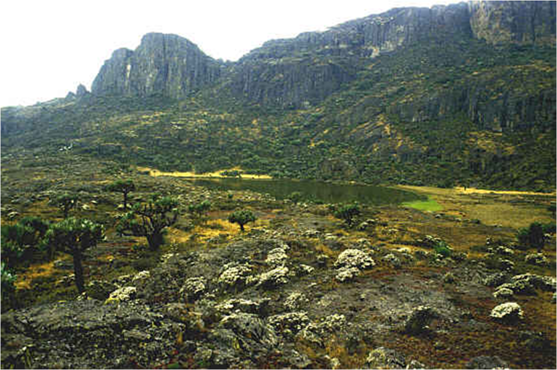 Una suggestiva immagine de Monte Elgon ai cui piedi si stende la Mau Forest, habitat della comunità Ogiek 