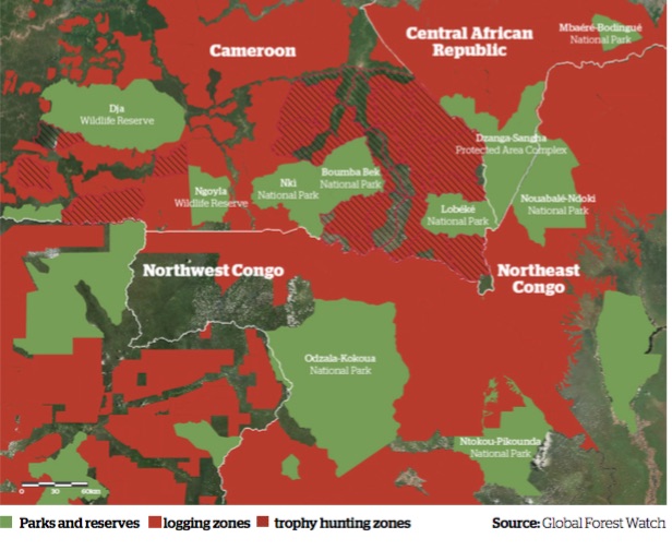 In verde i parchi e le riserve; in rosso le aree di utilizzate per il taglio degli alberi; in rosso a righe le zone dove viene praticata la caccia grossa (courtesy Survival International)