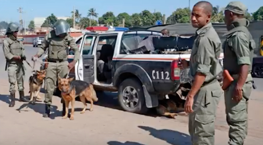 Poliziotti mozambicani