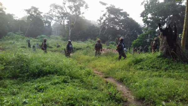 MONUSCO troops in support of Congolese army conducting operations to neutralize armed groups and ensure protection of civilians in Beni region