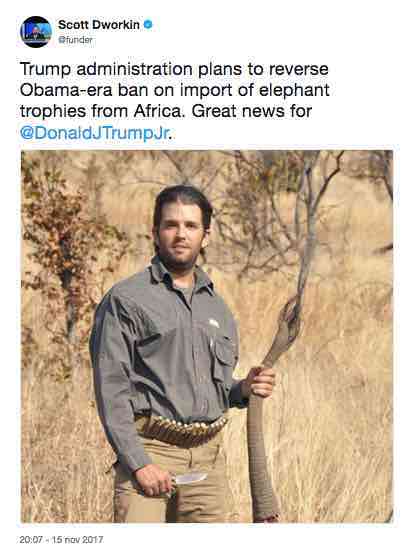 Il tweet di Scott Dworkin con la foto di Donald Trump Jr. con la coda di un elefante appena ucciso