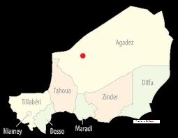 La visita di Ahmadinejad in Niger inquieta i Paesi occidentali