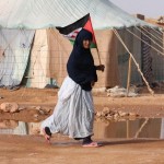 donna con bandiera nel campo