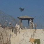 torrette di avvistamento