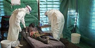 L’Oms lancia l’allarme ebola in tutto il mondo, quasi mille i morti