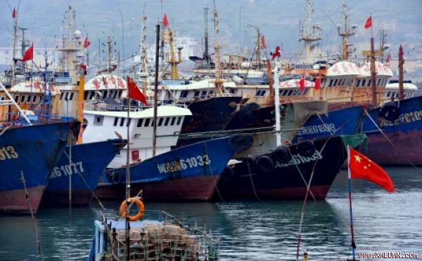 Greenpeace denuncia: la Cina pesca illegalmente nelle acque del West Africa