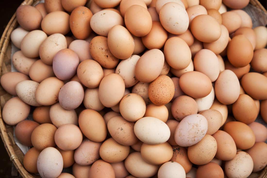 Non hanno i certificati sanitari: l’Angola distruggerà 11 milioni di uova importate