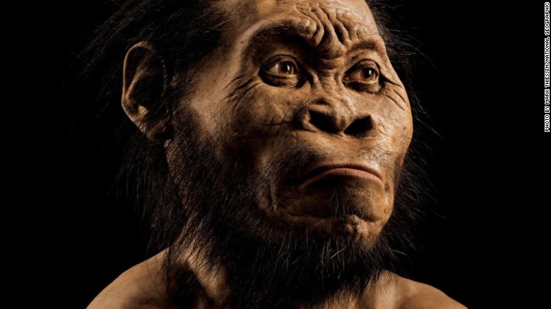 Trovati in Sudafrica i resti di una specie umana vissuta tre milioni d’anni fa