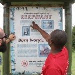 ivory_ban-Kenya_con_guida