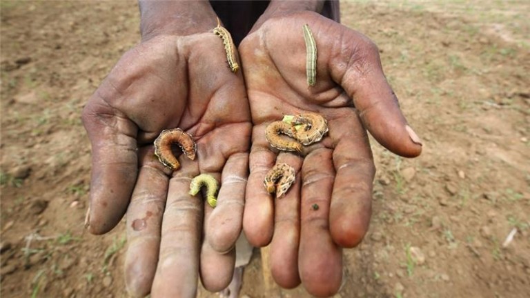 Siccità in Zimbabwe e Mugabe chiede aiuti in denaro contante