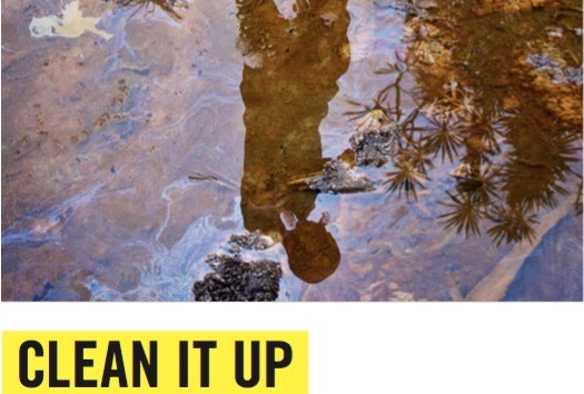 Clean it up (pulisci) Campagna di Amnesty International per invitare la Shell a pulire le aree inquinate del delta del Niger