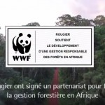 WWF-Rougier