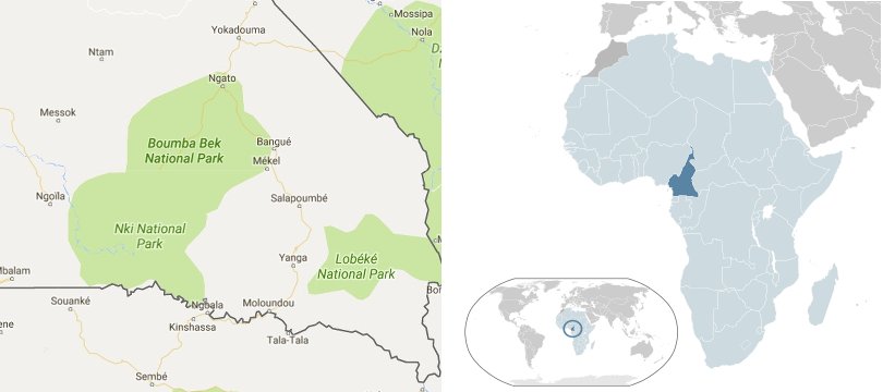 Area degli abusi contro i pigmei Baka e mappa dell'Africa con il Camerun