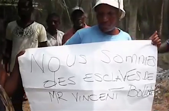 Manifestazione in una piantagione di palma da olio in Camerun: "siamo gli schiavi di Bolloré"