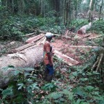 img-20170228-081204-article-column_article_column