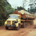 Camion con tronchi di legno pregiato – Foto © Margaret Wilson/Survival
