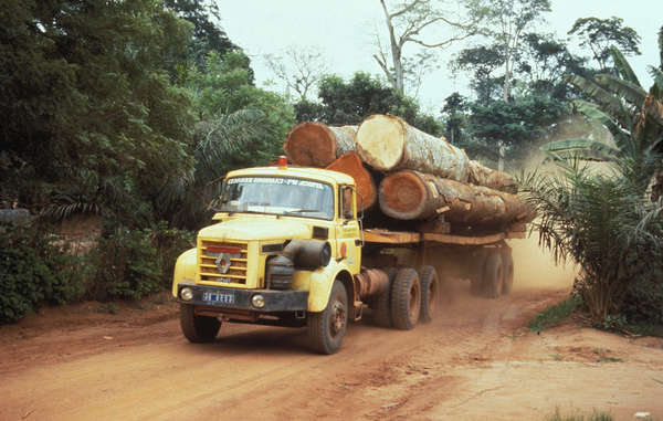 Camion con tronchi di legno pregiato – Foto © Margaret Wilson/Survival