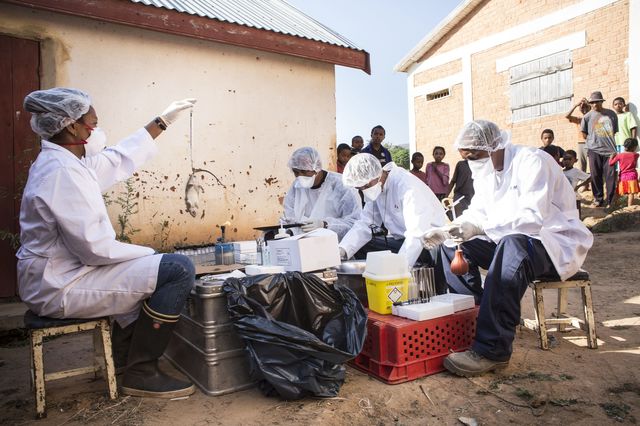 Non si arresta l’epidemia di peste in Madagascar: oltre duecento morti