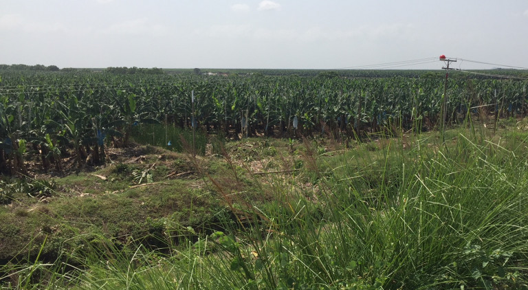 In Ghana i progetti finanziati dall’Europa per creare posti di lavoro e speranze