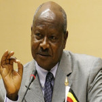 Museven_kali.jpg_1505820467_resized_Museven kali