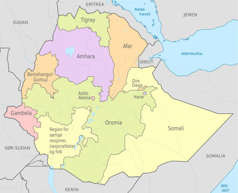 Proteste durante l’Epifania in Etiopia: almeno 7 morti nella regione degli Amhara