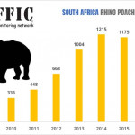sa-rhino-graph-2017