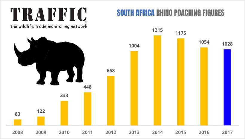 Grafico di traffic.org