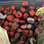 Container sequestrato