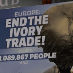end ivory trade
