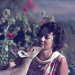 Daphne Sheldrick and antelope. Copyright The David Sheldrick Wildlife Trust (2)_2