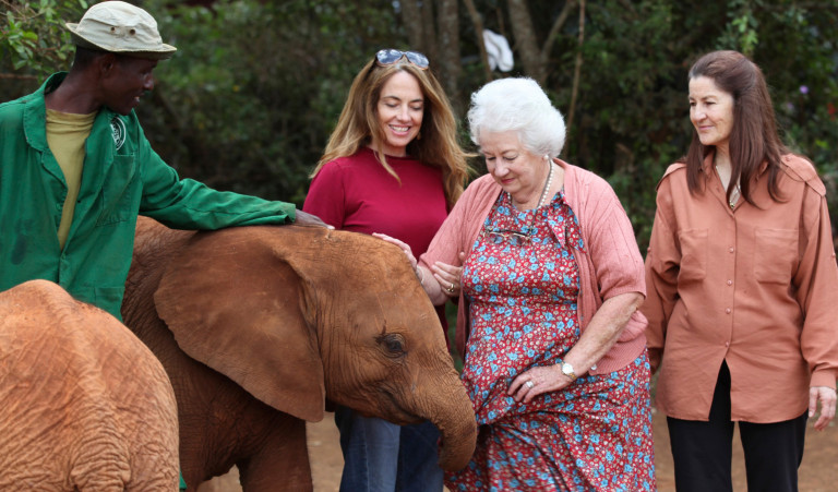 A Nairobi, dove si curano elefantini orfani vittime del bracconaggio