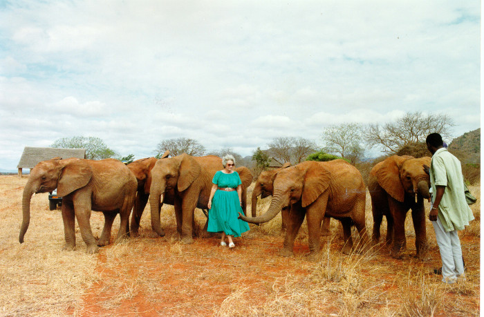 Daphne con i suoi elefantini orfani. ©Copyright The David Sheldrick Wildlife Trust