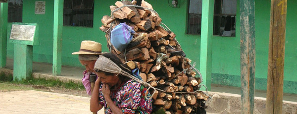 Donna trasporta il legname raccolto per usi domestici