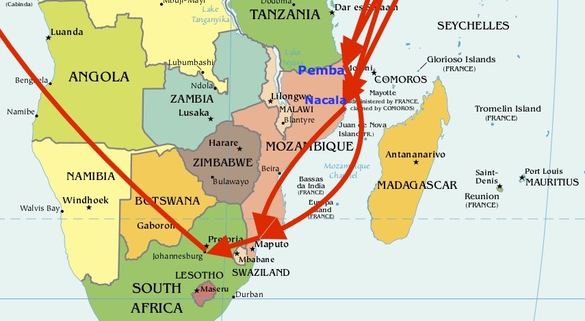 Eroina dai porti del nord del Mozambico arriva a Maputo, poi a Johannesburg per continuare verso l'Europa