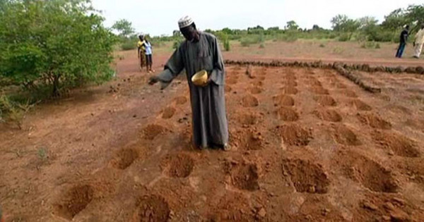 Il premio per l’ambiente a un contadino burkinabè che lotta contro la desertificazione