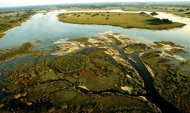 Il Delta dell'Okawango, 15 mila kmq di zone umide (Courtesy Google Maps)