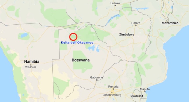 Mappa del Delta dell'Okawango (Courtesy Google Maps)