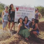 a, 16123340_1537676692928189_2361418846641848320_a, n