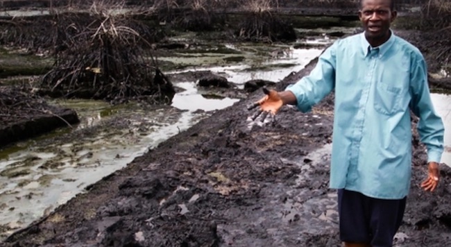 Inquinamento da petrolio in Nigeria (Courtesy Amnesty International)