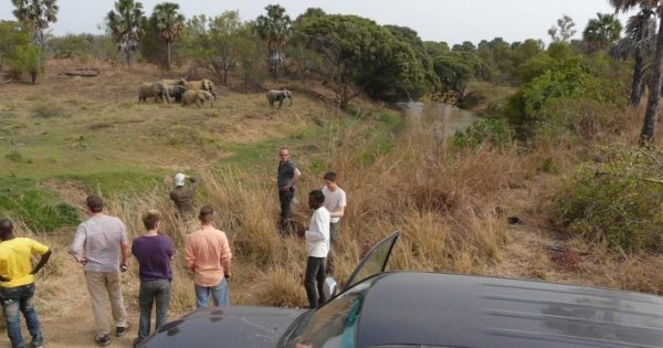 Turisti francesi scomparsi in Benin forse rapiti: trovato il cadavere della loro guida