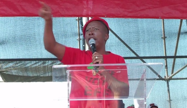Julius Malema, leader dei Combattenti per la Libertà Economica