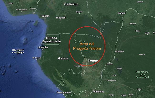 Nella mappa, il cerchio rosso indica l'area del progetto Tridom dove vivono i pigmei Baka