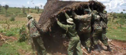 Distruzione di una capanna Baka da parte dei guardaparco (Courtesy Survival International)