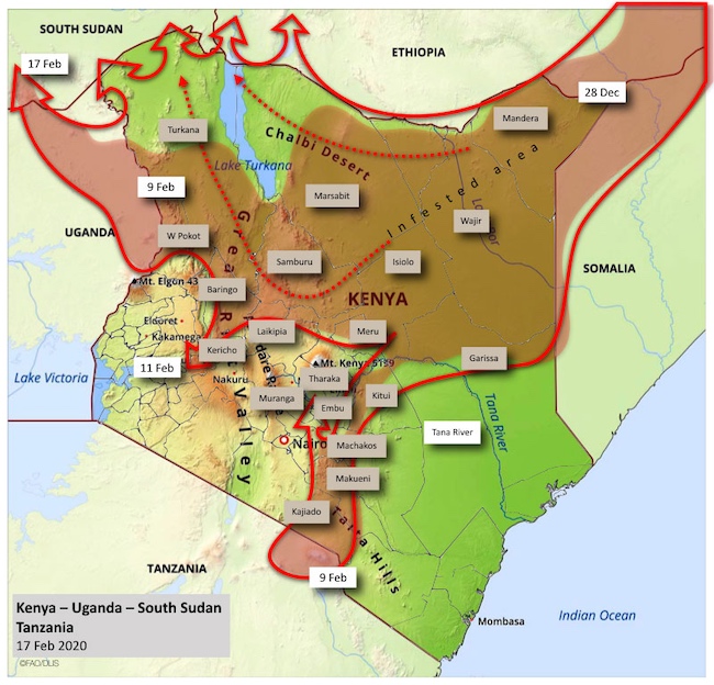 Mappa dell'invasione delle cavallette in Est Africa aggiornata al 17 febbraio 2020 (Courtesy FAO)