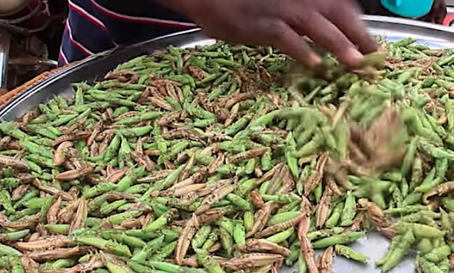 Vendita delle cavallette (nsenene) in un mercato in Uganda